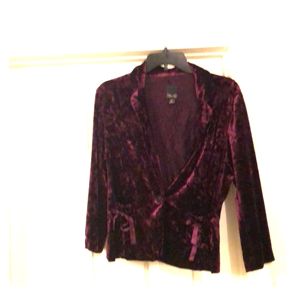 COPY - Vintage deep purple crushed velvet jacket.